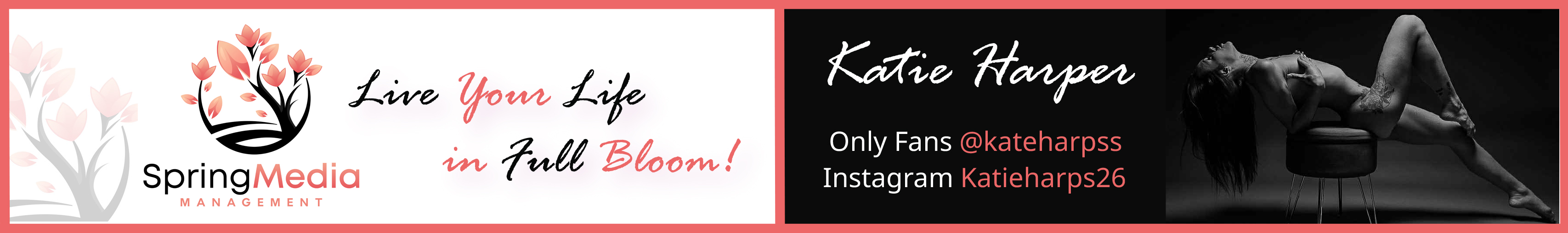 Spring Media Management / Katie Harper